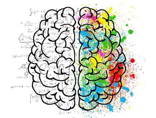 Analytical Mind vs. Personal Mind